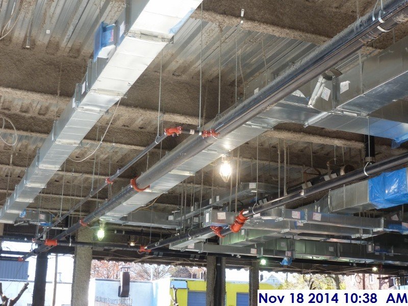 Started installing the sprinkler branches at the 1st floor Facing West